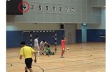 完整观看《有球》电影线上免费观看的最佳平台推荐