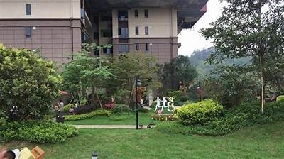 《追求在线全集在线观看，精彩剧情一网打尽》